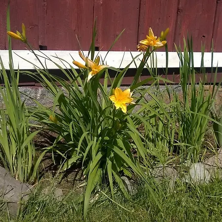 Erkas Garden